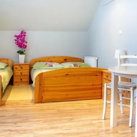 Monika Apartment